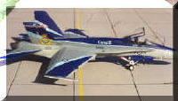 RCAF Anniversary Hornet.jpg (200565 bytes)